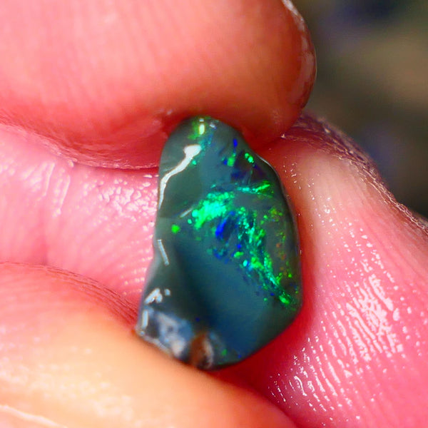 Lightning Ridge Gamble opal rough showing nice bright colours details to come cts ALP1xx