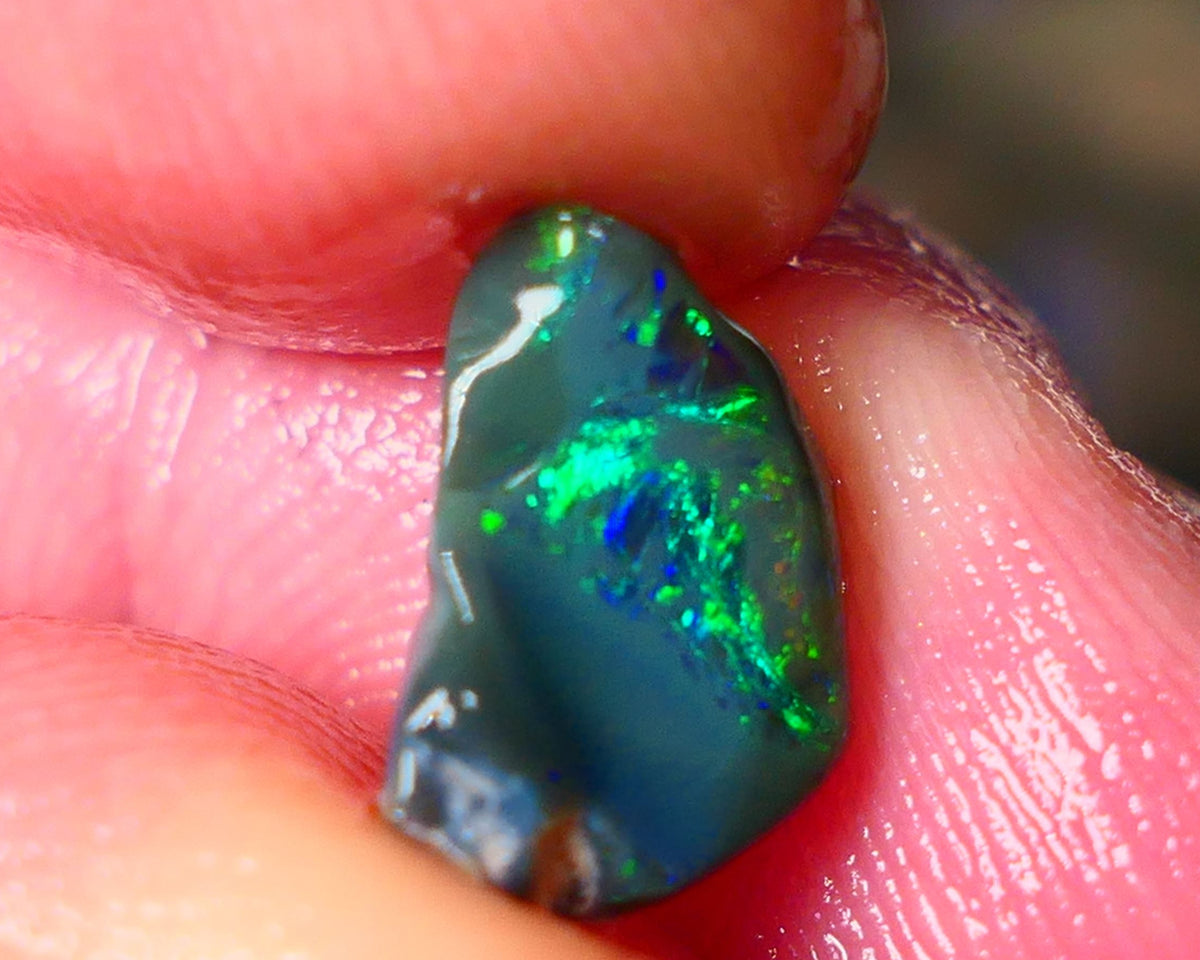 Lightning Ridge Gamble opal rough showing nice bright colours details to come cts ALP1xx