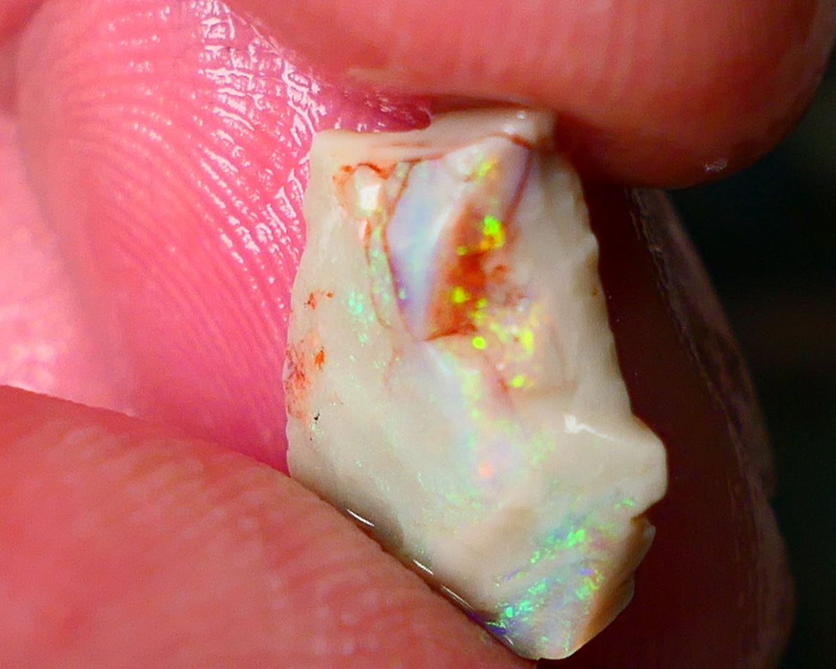 Lightning Ridge Gamble opal rough showing nice bright colours details to come cts ALP1xx