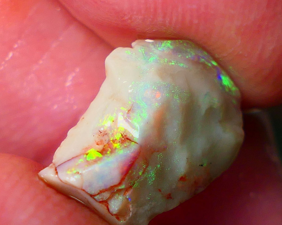 Lightning Ridge Gamble opal rough showing nice bright colours details to come cts ALP1xx