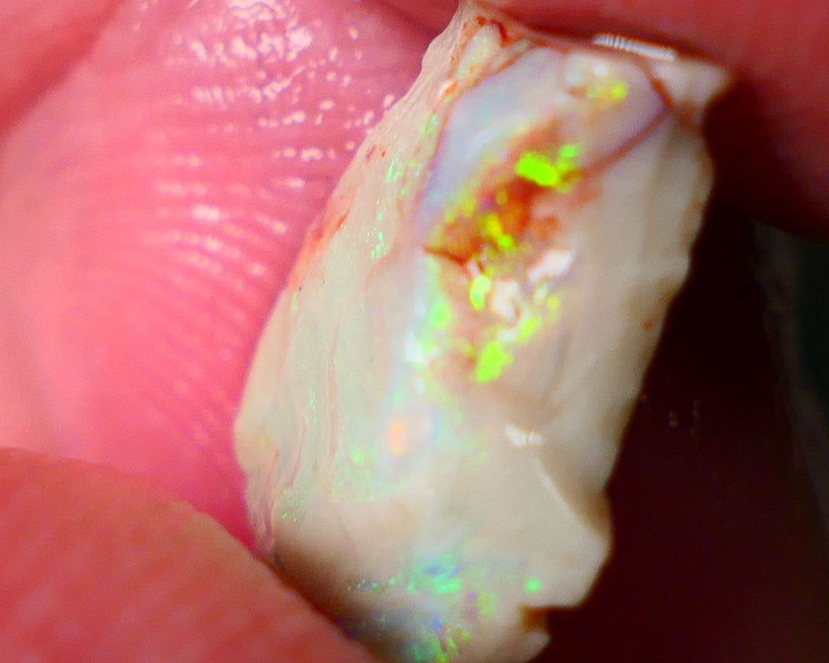 Lightning Ridge Gamble opal rough showing nice bright colours details to come cts ALP1xx