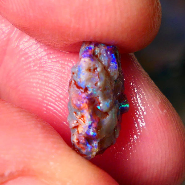 Lightning Ridge Wood Fossil opal rough 3.50cts showing nice bright M.colours 14x10x5mm ALP149