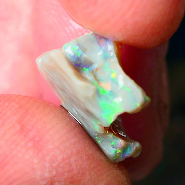 Lightning Ridge Gamble opal rough 4.50cts showing Very bright Multi colours 16x14x8mm ALP148