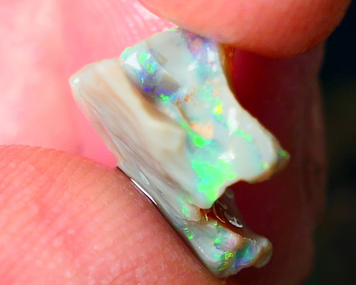 Lightning Ridge Gamble opal rough showing nice bright colours details to come cts ALP1xx