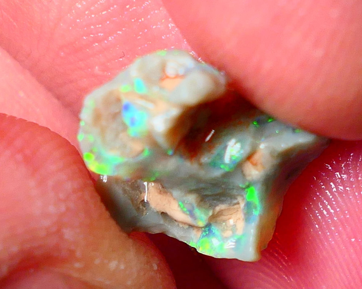 Lightning Ridge Gamble opal rough showing nice bright colours details to come cts ALP1xx