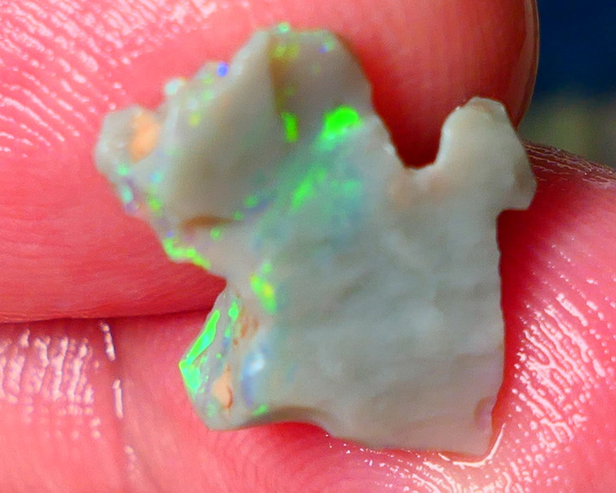 Lightning Ridge Gamble opal rough showing nice bright colours details to come cts ALP1xx