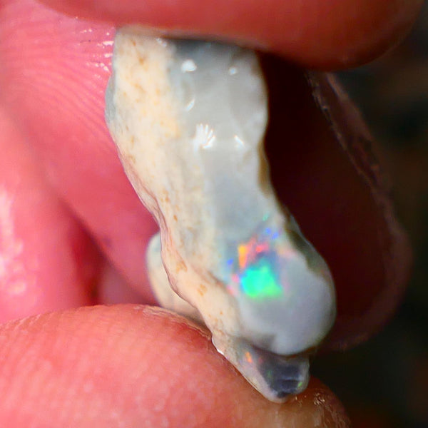 Lightning Ridge Gamble Seam opal rough with small zone showing nice bright multi colours 19x13x4mm ALP147