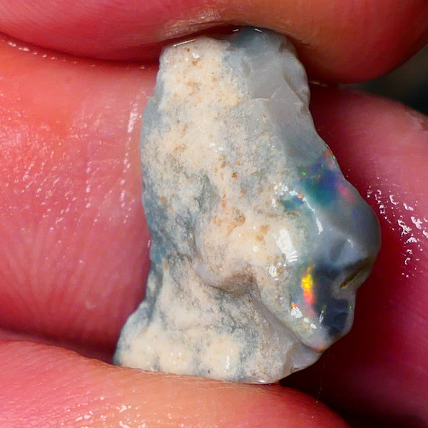 Lightning Ridge Gamble Seam opal rough with small zone showing nice bright multi colours 19x13x4mm ALP147