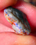 Lightning Ridge Gamble opal rough showing nice bright colours details to come cts ALP1xx