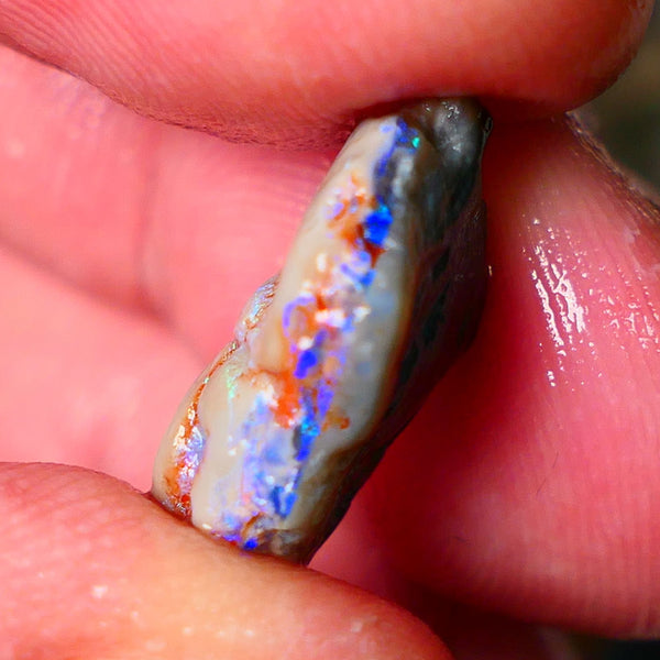 Lightning Ridge Gamble knobby opal rough 6.15cts showing nice bright Blue colours 17x12x6mm ALP145