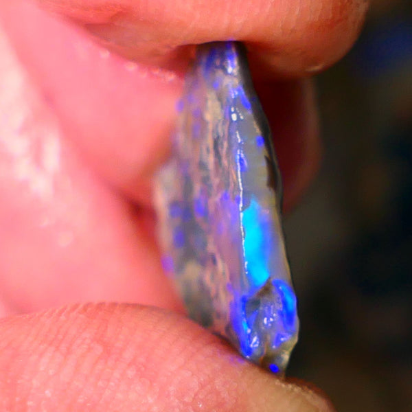 Lightning Ridge Dark opal Rub / rough 5.25cts  showing nice bright blue colours 18x16x3mm ALP144