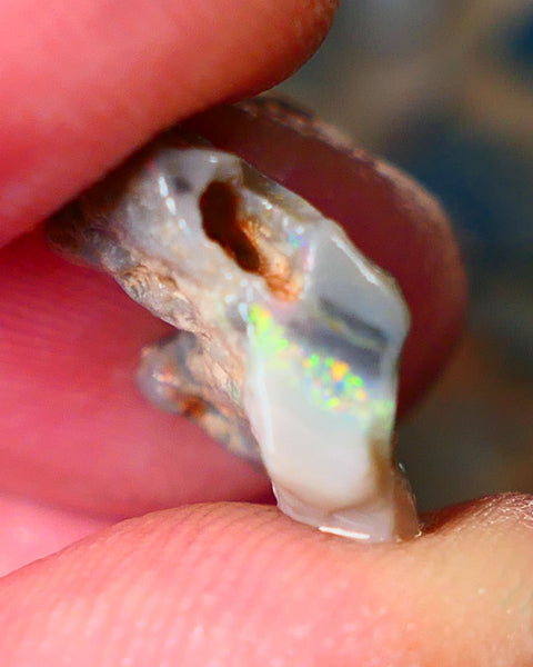 Lightning Ridge Rough Opal 6.25cts Gamble knobby dark base 18x14x3mm auction21