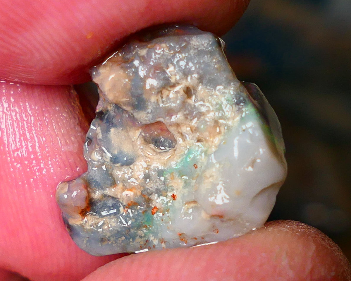 Lightning Ridge Rough Opal 6.25cts Gamble knobby dark base 18x14x3mm auction21