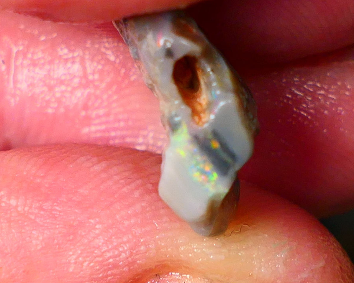 Lightning Ridge Rough Opal 6.25cts Gamble knobby dark base 18x14x3mm auction21