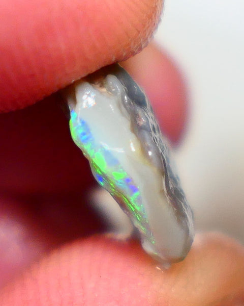 Lightning Ridge Grey base Seam opal 6.00cts Gamble showing Bright Multi Colours 14x14x4mm Auction39