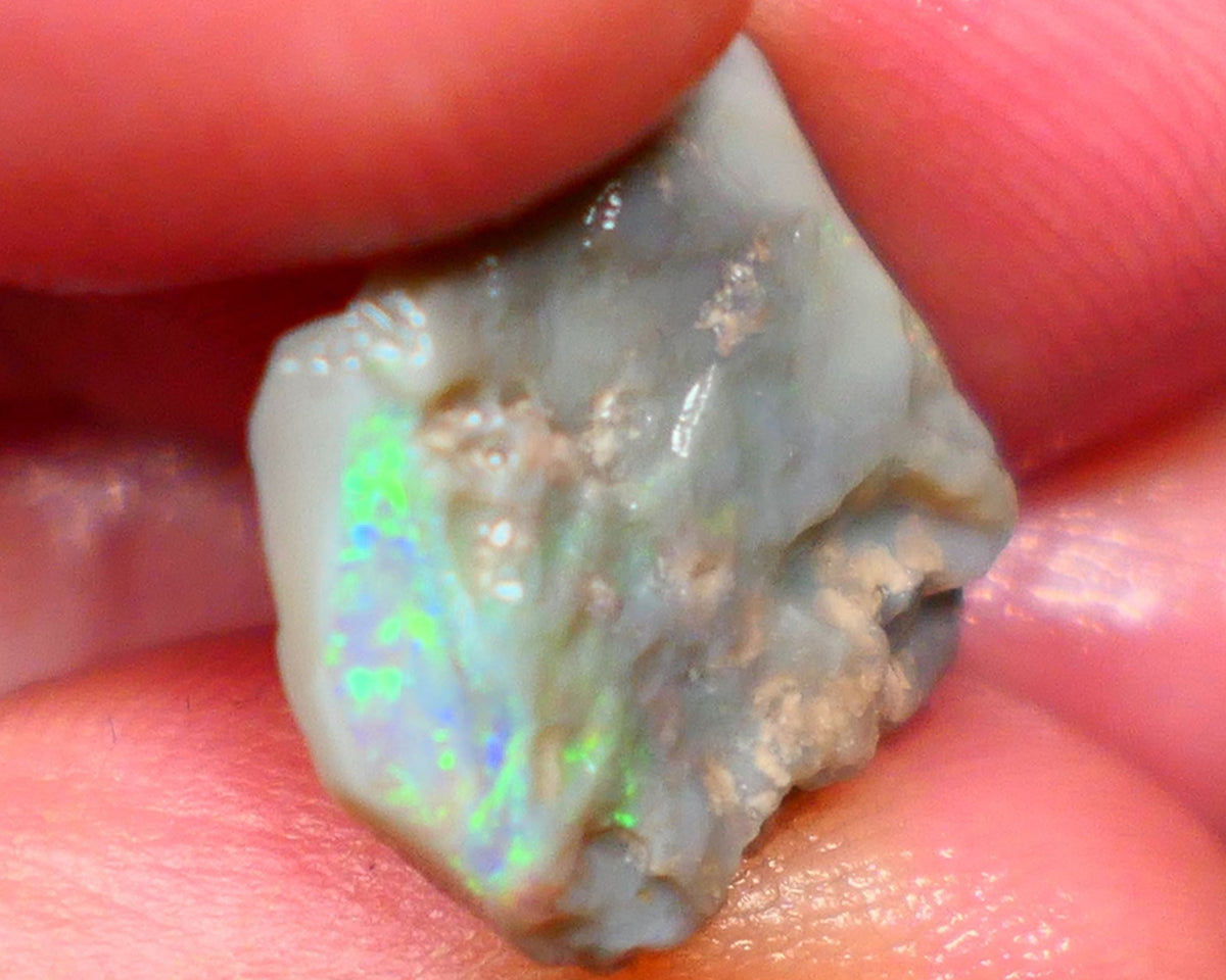 Lightning Ridge Grey base Seam opal 6.00cts Gamble showing Bright Multi Colours 14x14x4mm Auction39