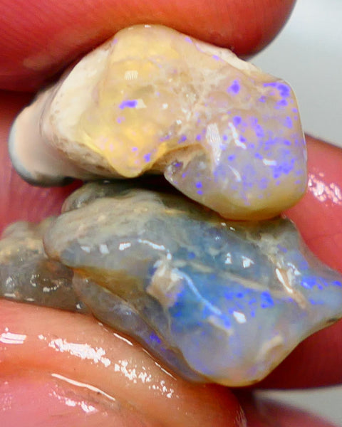 Lightning Ridge Crystal knobby Rough Opal pair 20.00cts  Nice blue fires 22x14x9mm & 20x10x9mm Auction41