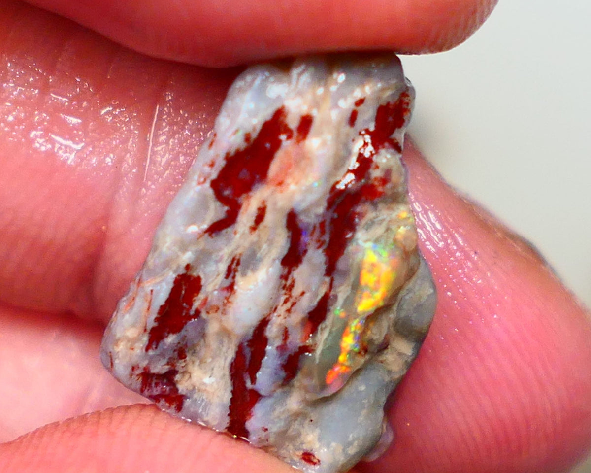 Lightning Ridge knobby opal formation rough 10.00cts showing Bright and Vibrant Orange fires Gamble or collect 19x13x8mm Auction42