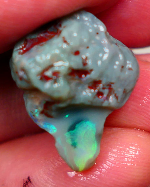 Lightning Ridge Rough Rub Knobby Dark Base 17.00cts Showing Very Bright Green Dominant Multicolours in the exposed area i21x17x13mm Auction57