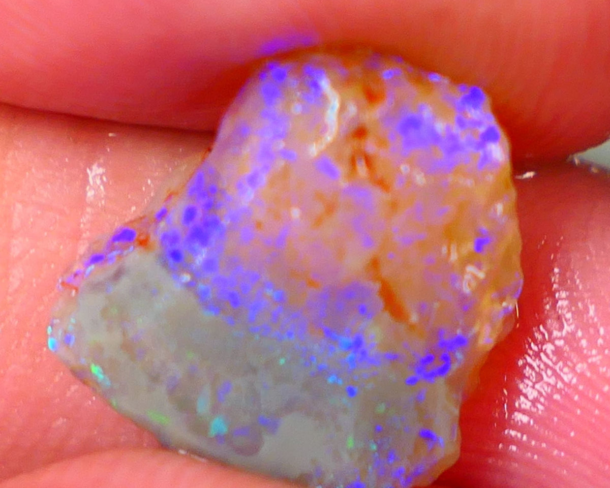 Bright & Colourful Rubbed knobby dark base rough 4.50cts L/Ridge Bright Blues colours 14x12x5mm Auction50