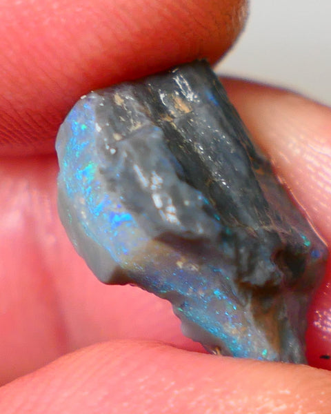 Bright & Colourful  L/Ridge Dark base Seam opal to cut xxx cts  Light Green & Blue hues Auction48