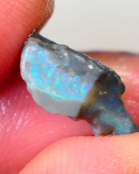 Bright & Colourful  L/Ridge Dark base Seam opal to cut xxx cts  Light Green & Blue hues Auction48