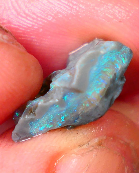 Bright & Colourful  L/Ridge Dark base Seam opal to cut xxx cts  Light Green & Blue hues Auction48