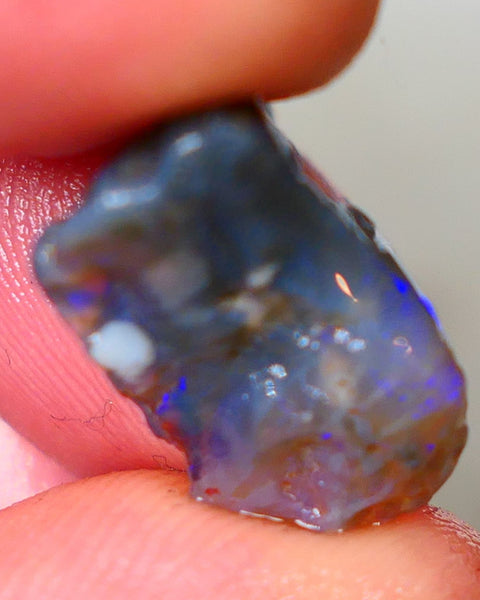 Bright & Colourful untouched knobby dark base xxx cts L/Ridge Bright Vibrant Blues colours to cut Auciton47