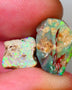 Pair of Exotic Opalised Wood fossils 9.75CTS rub/rough L/Ridge Bright Multi colours 14x12x6mm & 9x9x6mm Auction45