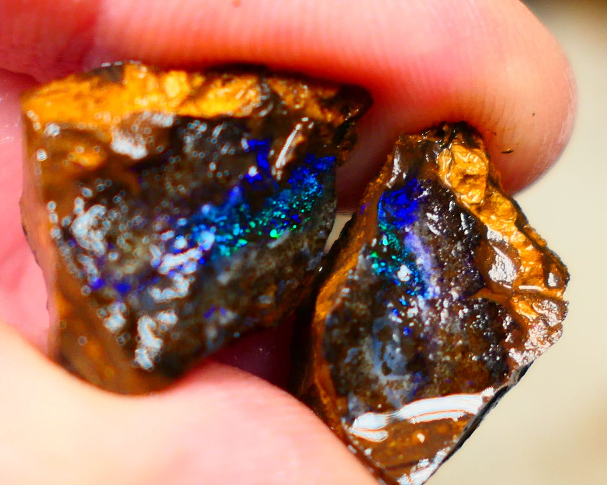 Winton Boulder opal rough split pair Ironstone host 33.00cts Stunning Gorgeous Blue fires 16x14x11mm & 21x12x11mm Auction67