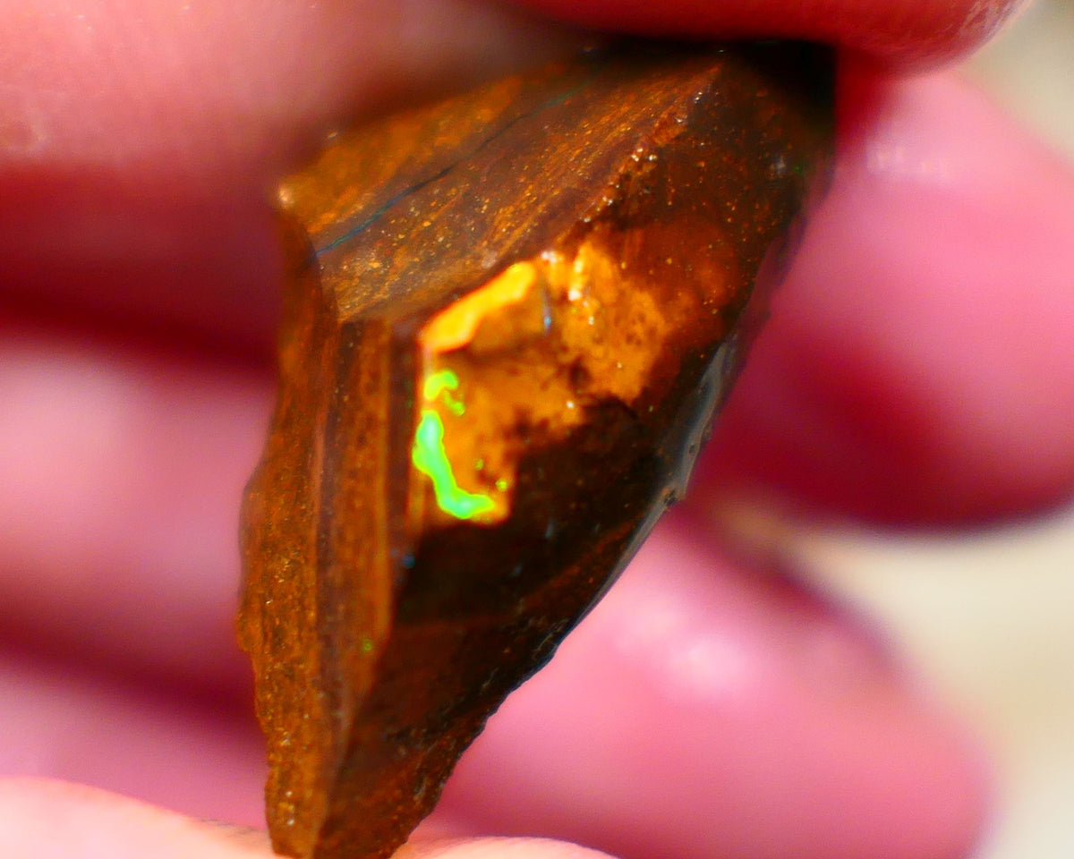 Winton Boulder opal rough Ironstone host 19.00cts Some Bright Multicolours 29x11x8mm Auction65