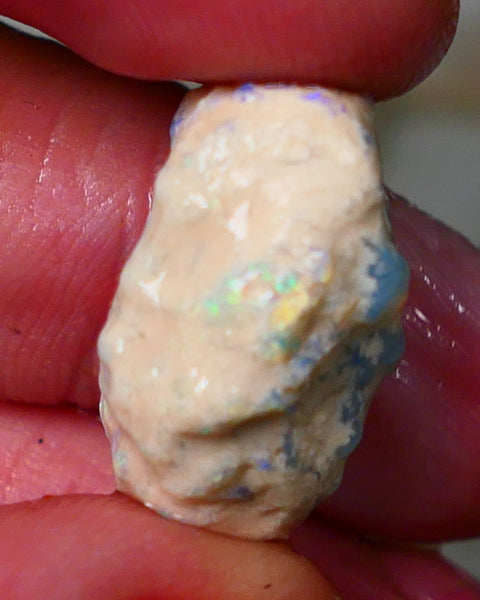 Lightning Ridge Rough Opal 19cts Crystal Gamble Knobby formation blue fires with flashes of yellows 22x15x13mm Auction82