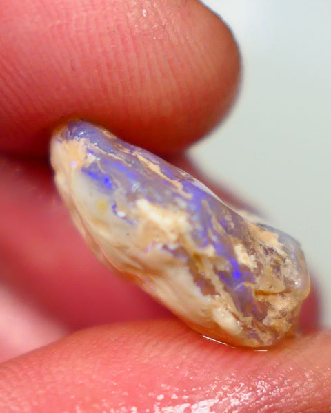 Lightning Ridge Rough Opal 11.25cts Dark Base Crystal Gamble Knobby blue dominant fires with flashes of yellows 18x14x7mm Auction80