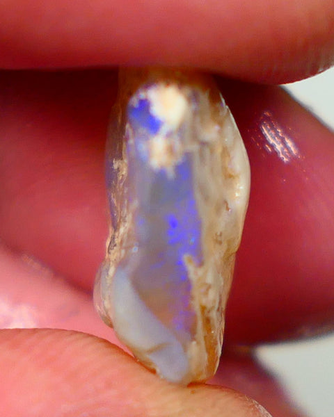 Lightning Ridge Rough Opal 11.25cts Dark Base Crystal Gamble Knobby blue dominant fires with flashes of yellows 18x14x7mm Auction80