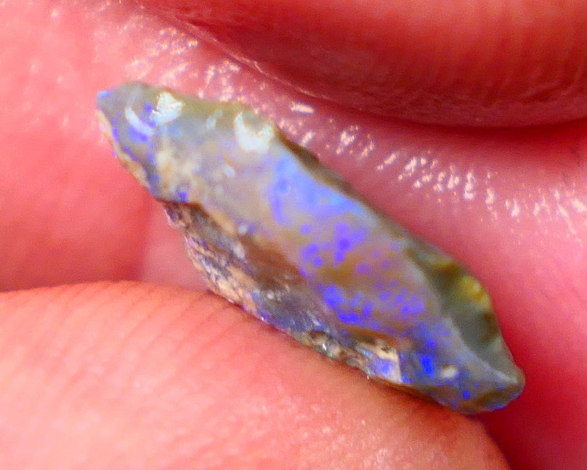 Lightning Ridge Rough knobby Opal 3.60cts Bight Blue colours to expose & explore 14x12x4mm Auction88