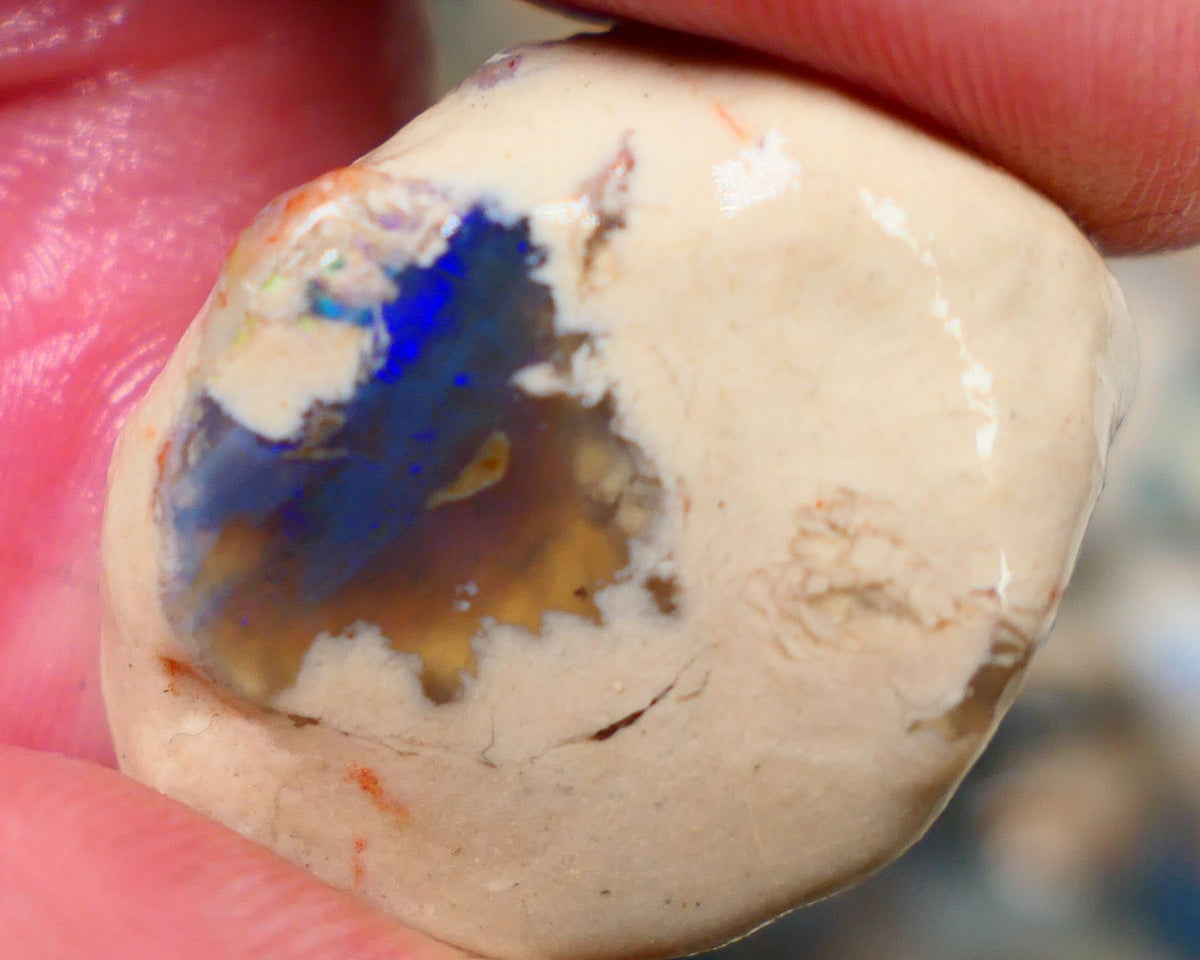 Lightning Ridge Rough Opal Blue on Black/Dark Crystal 52.00cts Big sized Gamble Knobby formation 29x19x16mm Auction105