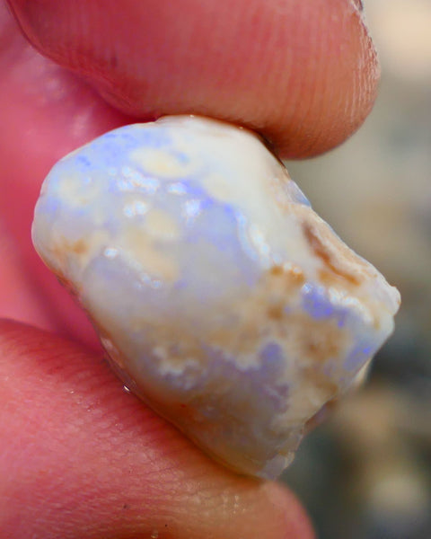 Lightning Ridge Rough Opal 26.00cts Light Base Gamble Knobby formation Light blue fires 25x16x11mm Auction104