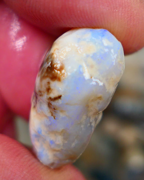 Lightning Ridge Rough Opal 26.00cts Light Base Gamble Knobby formation Light blue fires 25x16x11mm Auction104