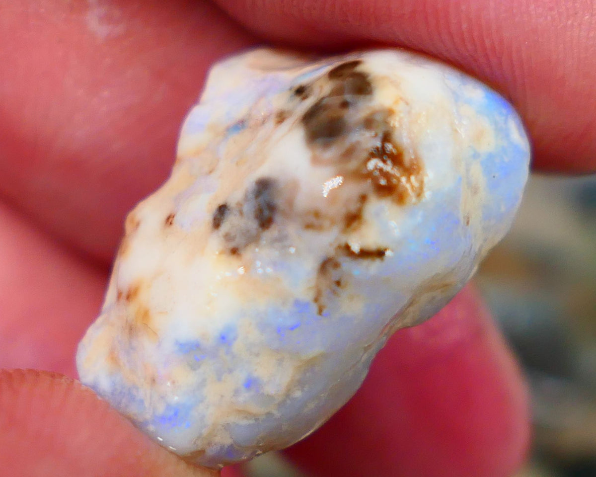 Lightning Ridge Rough Opal 26.00cts Light Base Gamble Knobby formation Light blue fires 25x16x11mm Auction104