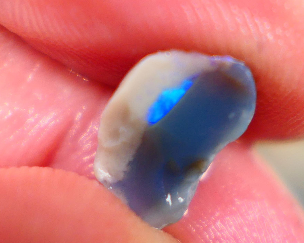 Small half a knobby dark base opal rough 3.15cts Showing small bit of a vibrant bar with Electric greens and blue colours to gamble 12x7x6mm Auction101