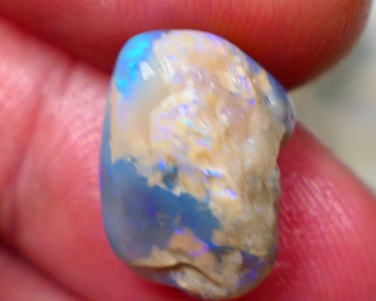 Lightning Ridge Rough knobby opal 7.80cts Dark base fresh from wash showing blue fires in scattered a scattered 15x10x9mm Auction131