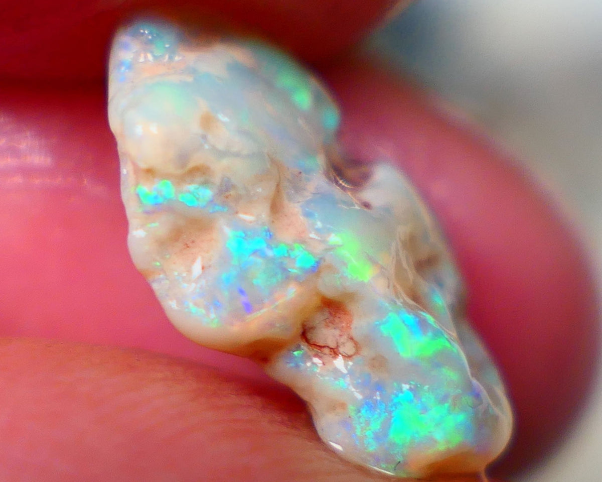 Opal Fever Mate Auction