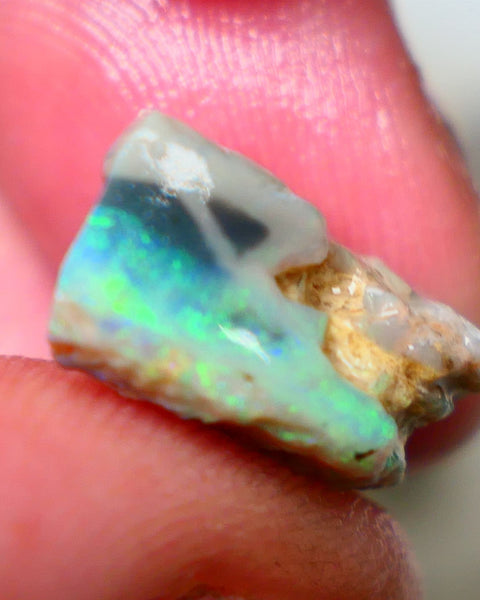 Lightning Ridge Rough Dark Base seam opal slice 6.25cts Showing nice Bright Green dominant multifire bar to explore 16x10x8mm Auction129