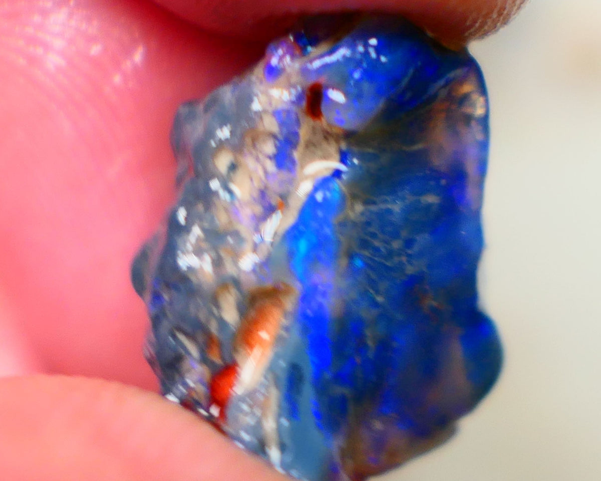 Lightning Ridge Rough Black Knobby opal fresh from the wash 9.00cts Showing Bright & Vibrant Blue fires 17x10x8mm Auction128