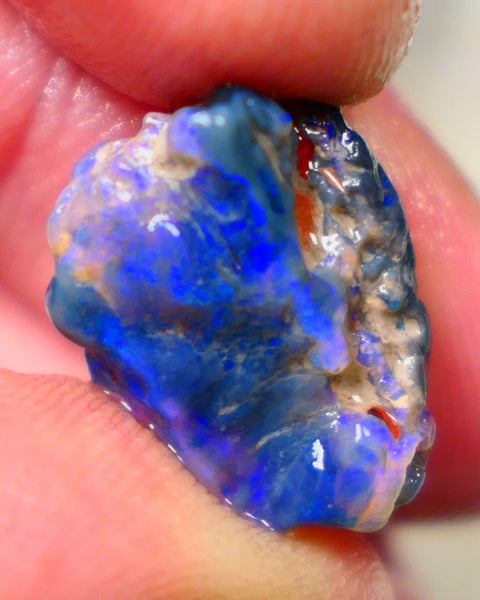 Lightning Ridge Rough Black Knobby opal fresh from the wash 9.00cts Showing Bright & Vibrant Blue fires 17x10x8mm Auction128