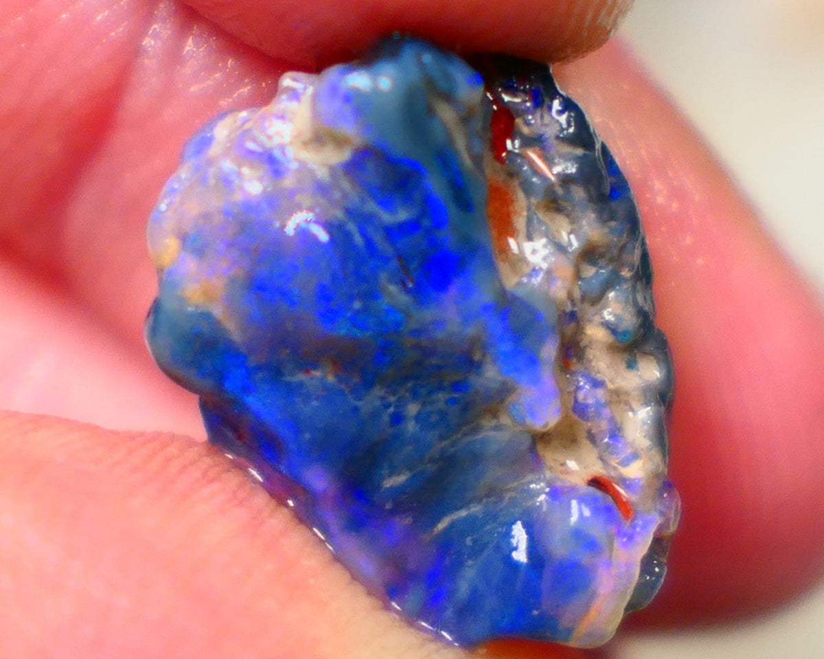 Lightning Ridge Rough Black Knobby opal fresh from the wash 9.00cts Showing Bright & Vibrant Blue fires 17x10x8mm Auction128