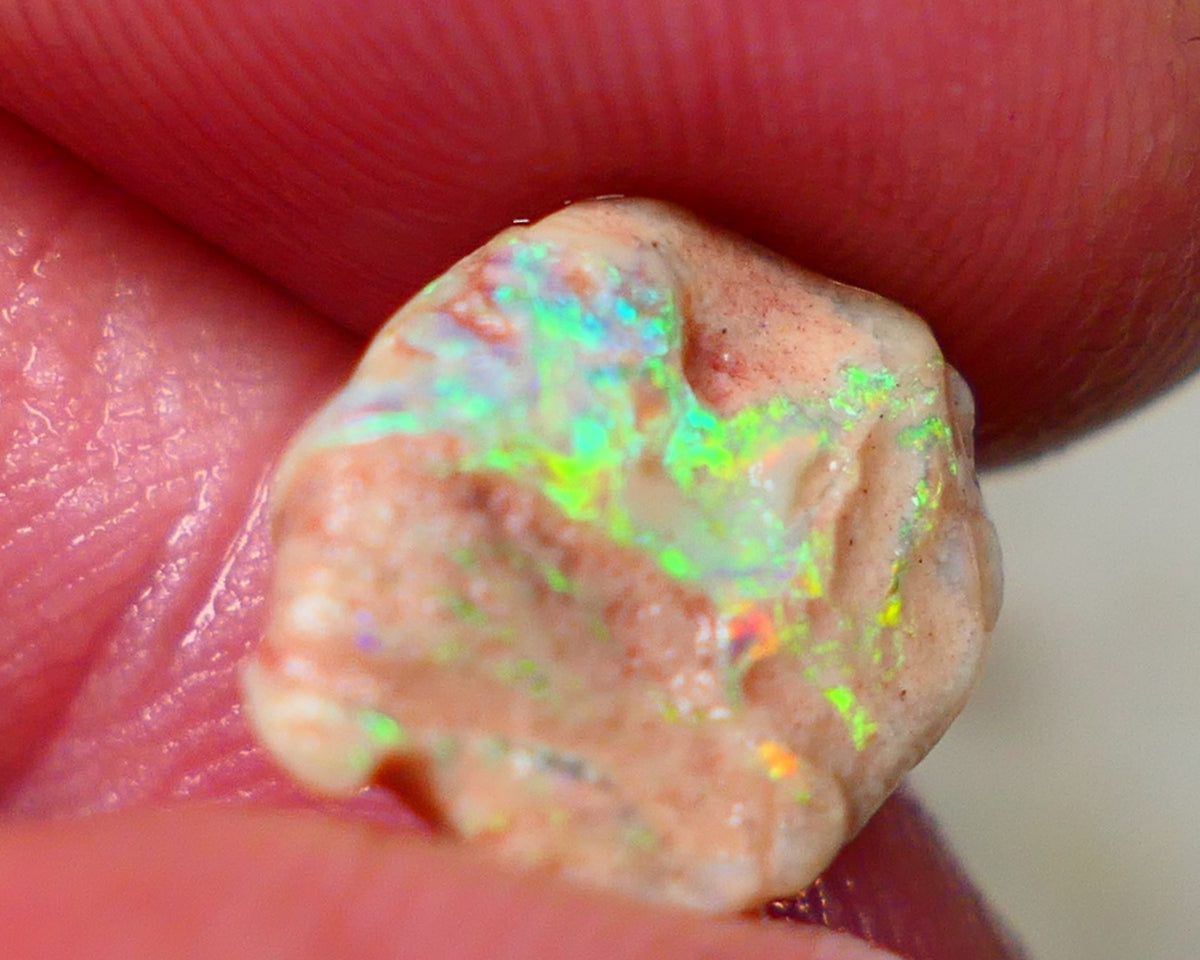 Lightning Ridge Rough Small knobby formation opal rough 3.25cts Bling Ding Dong Yellow dominant fires  popping 14x11x3mm Auction127