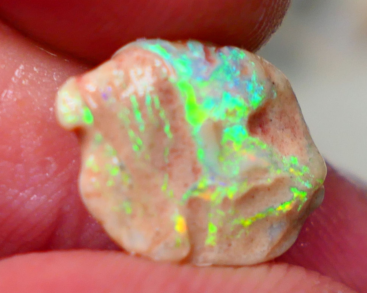 Lightning Ridge Rough Small knobby formation opal rough 3.25cts Bling Ding Dong Yellow dominant fires  popping 14x11x3mm Auction127