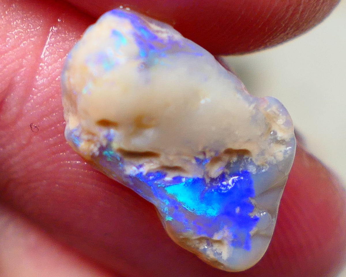 Lightning Ridge Rough Knobby opal 6.15cts Dark Base Showing Bright Blues in the bar 18x11x6mm to Gamble Auction126