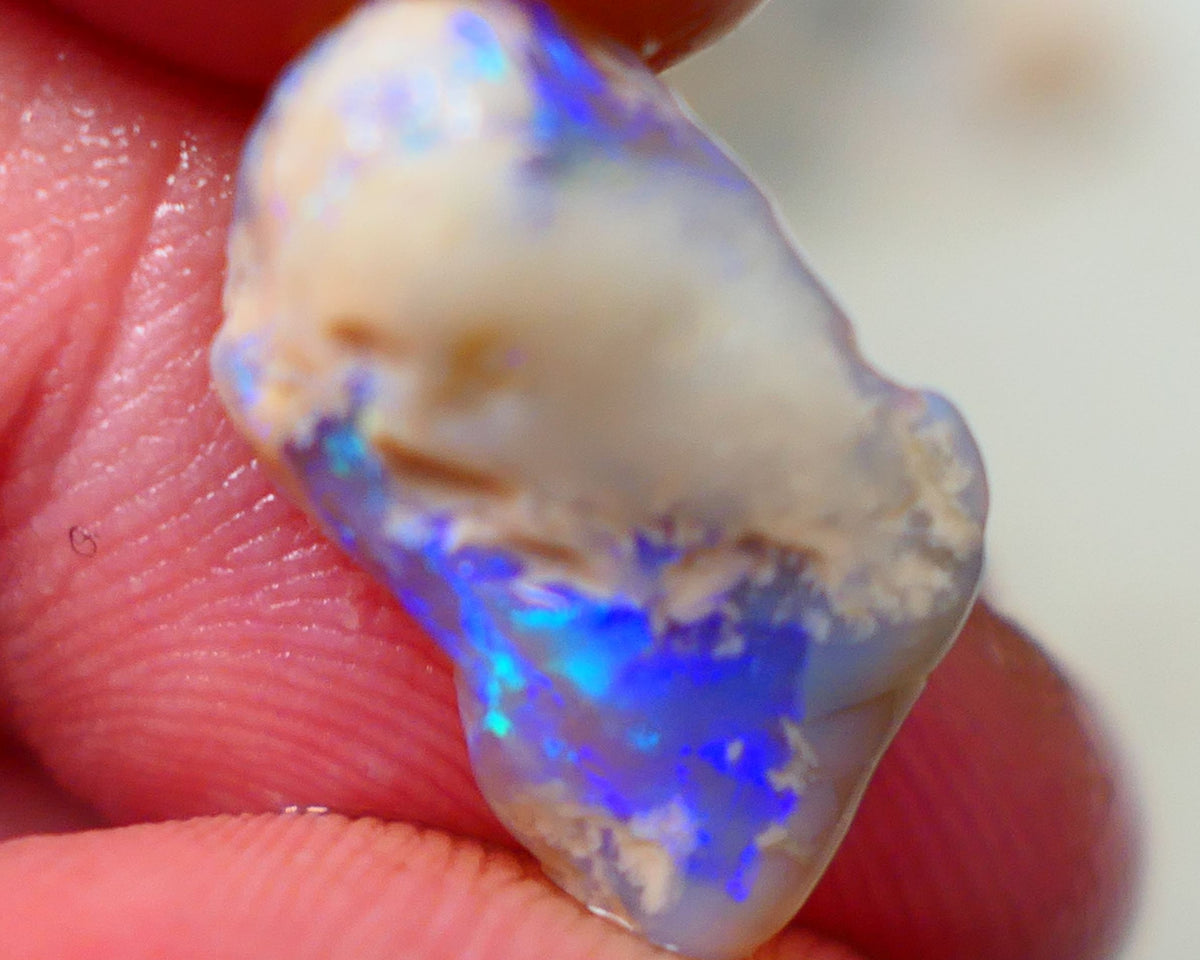 Lightning Ridge Rough Knobby opal 6.15cts Dark Base Showing Bright Blues in the bar 18x11x6mm to Gamble Auction126